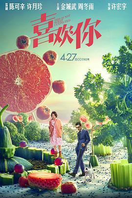 无风险9.1免费版安装动漫
