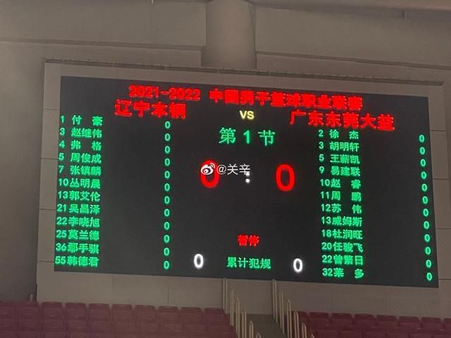 猫咪最新永久地域网名是什么
