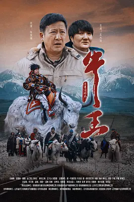 大咪咪娱乐