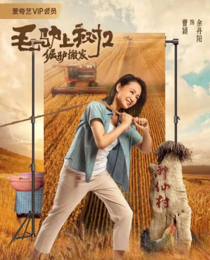 四虎精品影院在线观看视频