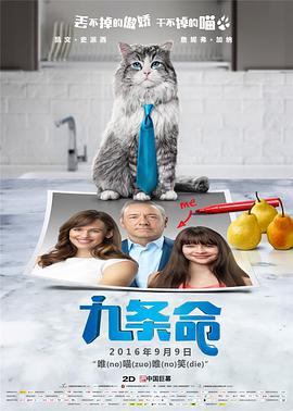 久久久久久精品视频