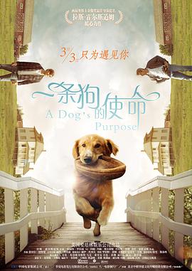 国产精品视频午夜
